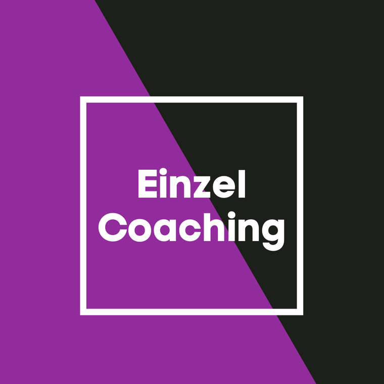 Einzel-Coaching